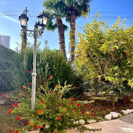 Pignatelli Bed and Breakfast